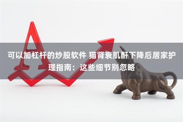 可以加杠杆的炒股软件 猫肾衰肌酐下降后居家护理指南：这些细节别忽略